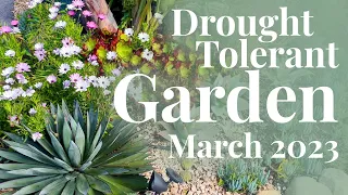 Drought Tolerant Garden Tour |  March 2023