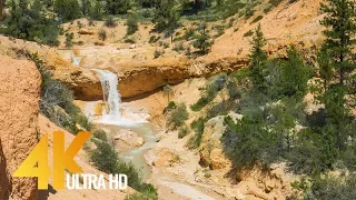 4K Bryce Canyon Scenery - Mossy Cave Trail Waterfall - Nature Relax Video - 3 HRS