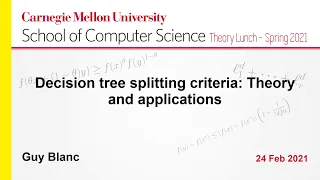 Guy Blanc: Decision tree splitting criteria: Theory and applications