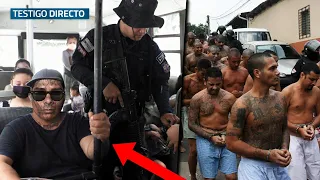 Por Esto Los Pandilleros De El Salvador No Tienen Escapatoria En 2022 - Testigo Directo