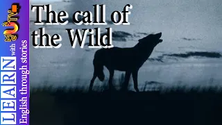 Learn English through story [The Call of The Wild] (level 6)