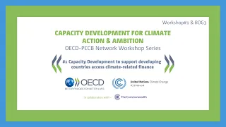 #1 OECD - PCCB Network Workshop Series - CB for access to climate-related finance
