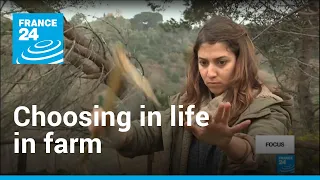 Why Italian graduates are choosing life on the farm | Focus • FRANCE 24 English