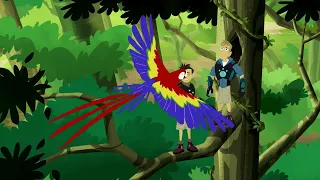 Chris Gets Bitten by a Scarlet Macaw! (Wild Kratts)