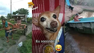 Os Vídeos + Engraçados do Whatsapp 2022! Tente Não Rir #58 - Whatsapp Memes Br