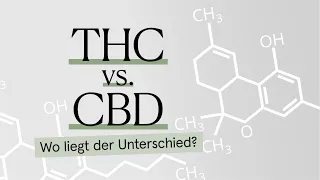 THC vs. CBD! Was ist der Unterschied?