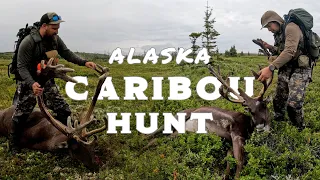 Alaska Caribou Hunt - Two Big Bulls - Dillinger River
