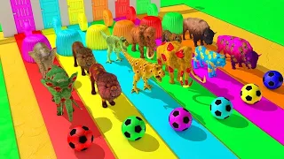 Wild Animals Gameplay Walkthrough Funny Animals Compilation Animals Fun Animation new