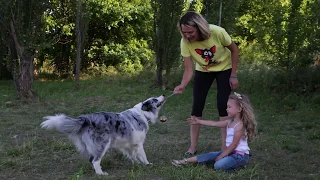 Ребенок и собака. Собака для ребенка.