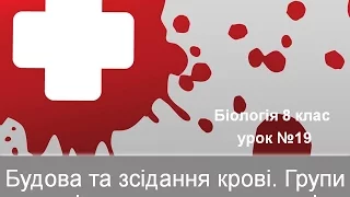 Зсідання крові. Групи крові та переливання крові.