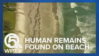 Apparent human remains wash up on shore near North Palm Beach
