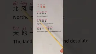 A Chinese song“一剪梅”#中文歌曲#学中文#mandarin