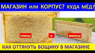 Магазин 145 или корпус 300? Как заставить пчел перейти в магазин. Как оттянуть вощину на рамке 145