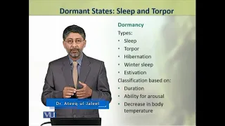 Dormant States: Sleep and Torpor | Animal Physiology and Behavior (Theory) | ZOO502T_Topic235