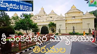 Sri Venkateswara Museum Tirumala l S V Museum l Success Life Mantra l Historical places in Tirumala