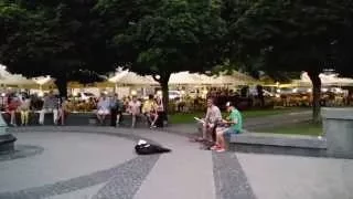2015.06.07 Too Close cover (part) by Red Sneakers (street band) in Lviv