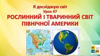 ЯДС урок 47 РОСЛИННИЙ І ТВАРИННИЙ СВІТ   ПІВНІЧНОЇ АМЕРИКИ