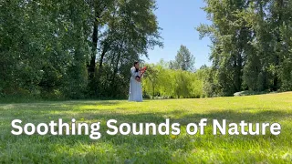 Soothing Sounds of Nature