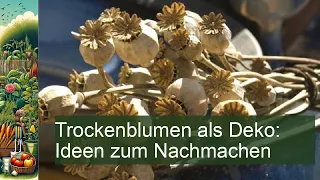 Trockenblumen als Deko: Ideen zum Nachmachen