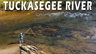 Fly Fishing the Tuckasegee River | Fall Trout Fishing