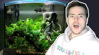 Fish Biologist reacts to YOUR AQUARIUMS