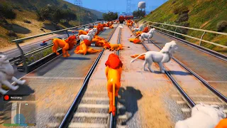 GTA 5 Crazy Ragdolls SIMBA AND NALA the lion king 4k (GTA 5 Funny Moments Jumps & Fails)