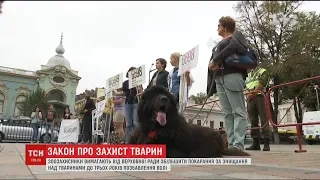 У Києві мітингарі вимагали збільшити покарання за знущання над тваринами