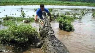 Crocodile Man Tour, Rio Tarcoles, Costa Rica