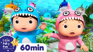 Baby Shark Dance | +More Nursery Rhymes & Kids Songs  | ABCs and 123s | Little Baby Bum