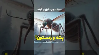 واقعا پشه ها زمستون کجا میرن ! سوالات قبل از خواب پارت فلان