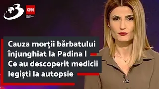 Cauza morții bărbatului înjunghiat la Padina | Ce au descoperit medicii legiști la autopsie