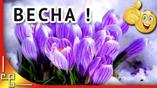 Весна пришла! С весной друзья! Красивая весенняя музыкальная видео открытка