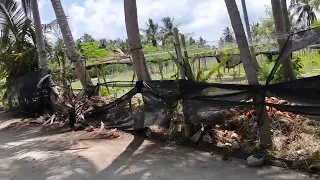 остров Тодду Мальдивы. апрель23. Toddy island Maldives