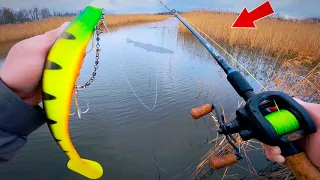 Could this monster lure catch the biggest fish of the lake ?!