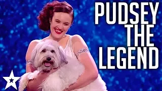 PUDSEY missed but never forgotten! WINNERS of Britain's Got Talent 2012
