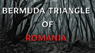 A Trip To Hoia Baciu Forest | The Bermuda Triangle Of Romania