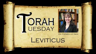 Torah Tuesday - Leviticus