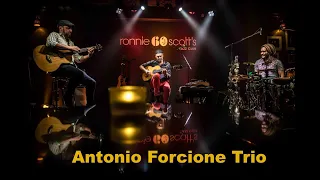 Antonio Forcione Trio       Live at Ronnie Scott's Jazz Club