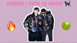 OPINION de Gato De Noche de BAD BUNNY & ÑENGO FLOW 🔥?🤢 [Reacción]