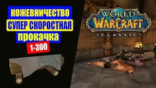 WoW CLASSIC | Гайд Кожевничество 1-300 Супер быстрая прокачка