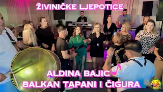 Živiničke ljepotice igraju dok svira Čigura i Tapani uz Aldinu Bajić