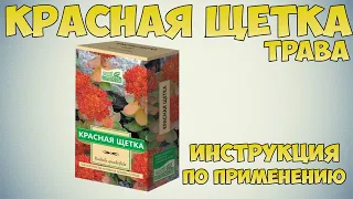 Красная щетка трава инструкция по применению препарата: Показания, как применять, обзор препарата