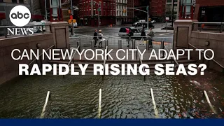 Can New York City adapt to rapidly rising sea levels?