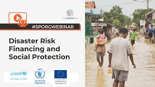 Disaster Risk Financing and Social Protection