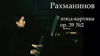 С.В.Рахманинов Этюд-картина ор.39#2 ля минор «Море и чайки» исп.Елена Капралова