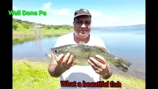 Monster Bass and Carp in Albert Falls Dam (And the 1 that got away😪😪😱)