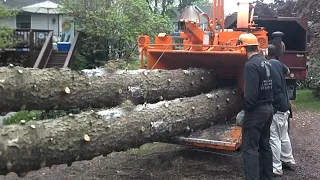 Dangerous Monster Wood Chipper Machines Working, Fastest Tree Shredder Destroy Big Tree Equipment