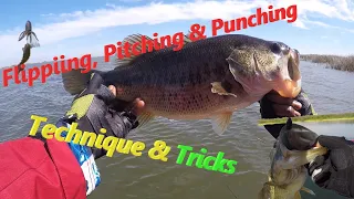 California Delta Fishing | Flipping, Pitching & Punching Tricks and Techniques