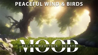 MOOD - Peaceful Nature Sounds with Birds & Wind || 2 HOURS of Calming