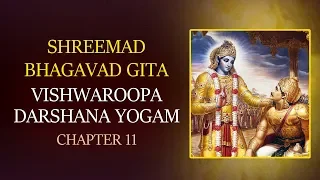 Vishwaroopa Darshana Yogam with Lyrics | Chapter 11 | Srimad Bhagavad Gita | T S Ranganathan - Learn